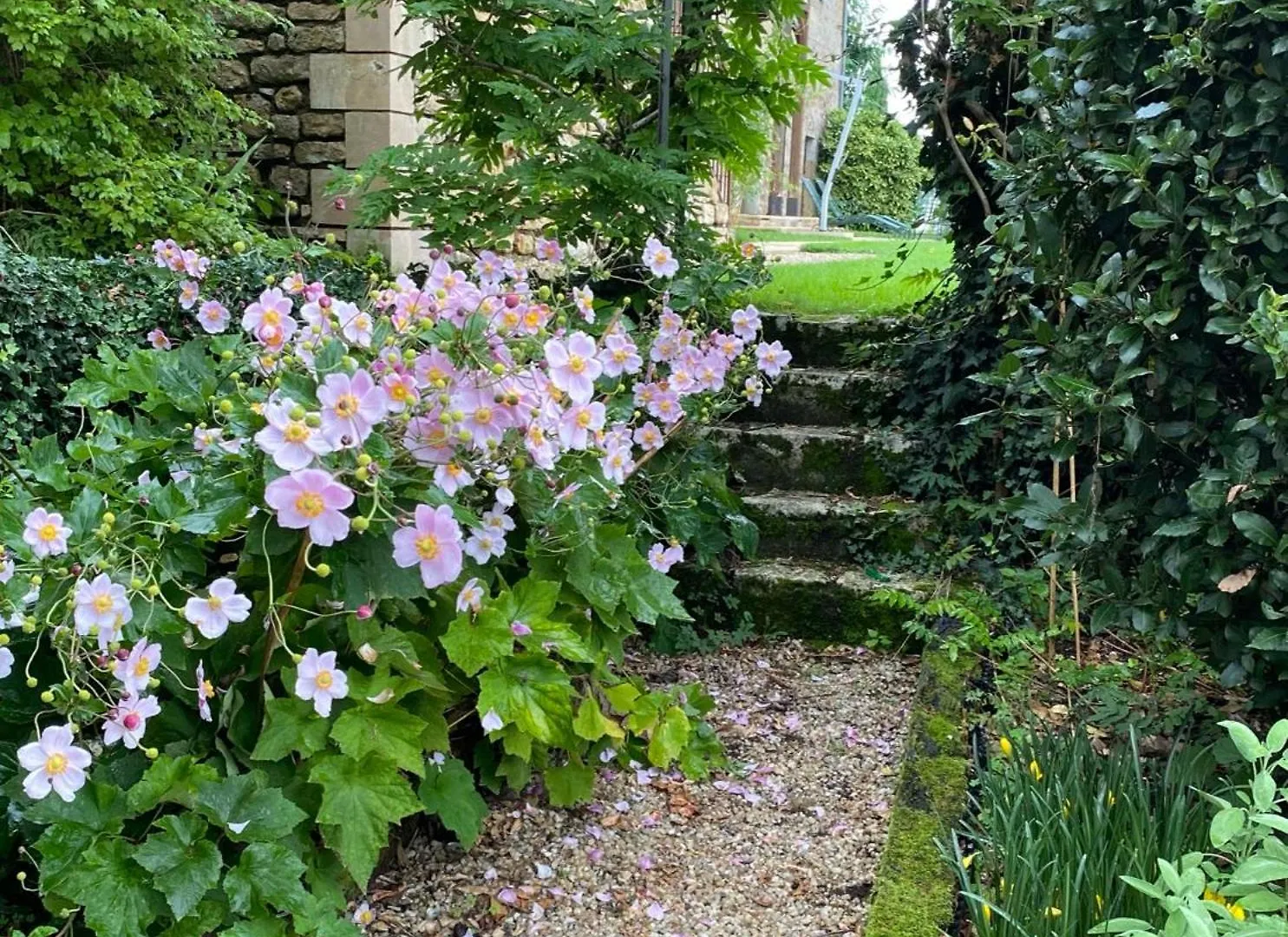 Manoir De Rieuzal Bed and Breakfast Loubressac